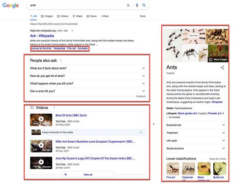 anatomy of serp|A Complete Guide to the Anatomy of a SERP (Search Engine Results Pa.